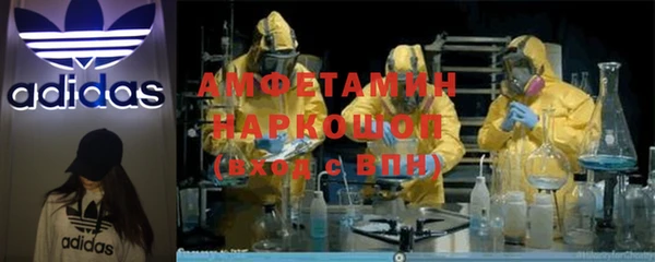 твердый Алексин