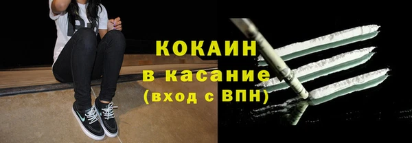 твердый Алексин