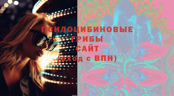 твердый Алексин