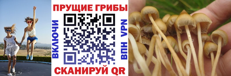 Галлюциногенные грибы MAGIC MUSHROOMS  купить   Владивосток 